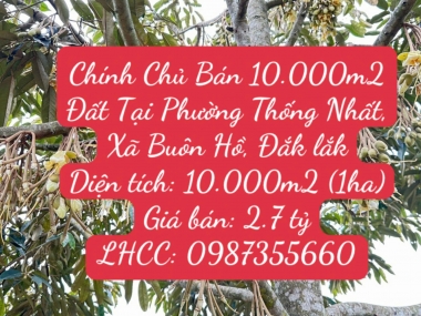 Chính Chủ Bán 10.000m2 Đất Tại Phường Thống Nhất, Xã Buôn Hồ, Đắk lắk