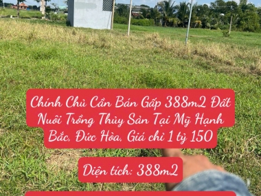 Chính Chủ Cần Bán Gấp 388m2 Đất Nuôi Trồng Thủy Sản Tại Mỹ Hạnh Bắc, Đức Hòa, Giá chỉ 1 tỷ 150